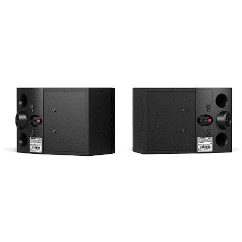 Bose 301 Series V Direct/Reflecting Speaker System (Black