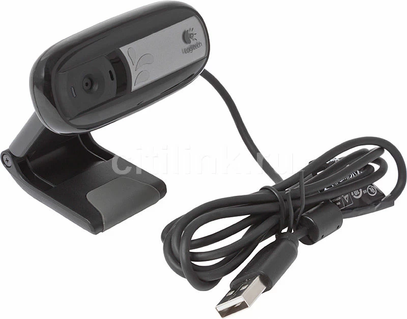 Logitech webcam c110 and c170 hot sale