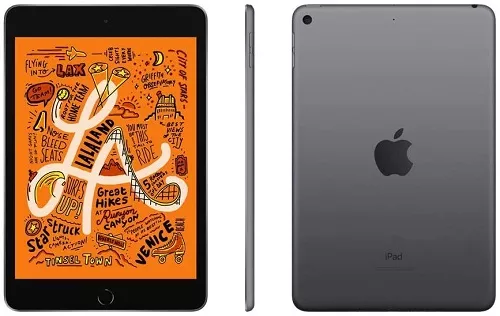 Apple iPad mini 5 Wi-Fi 256GB-Paykobo.com