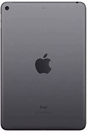 Apple iPad mini 5 Wi-Fi 256GB-Paykobo.com