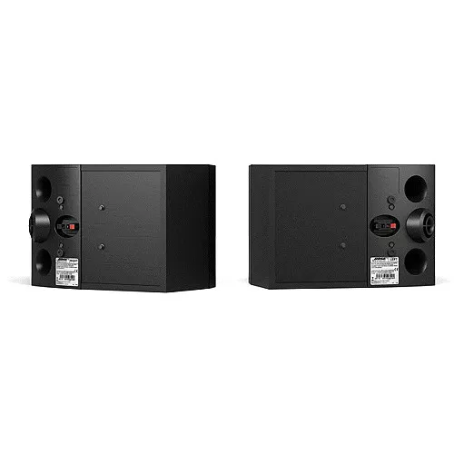 Bose 301 Series V Direct/Reflecting Speaker System (Black)